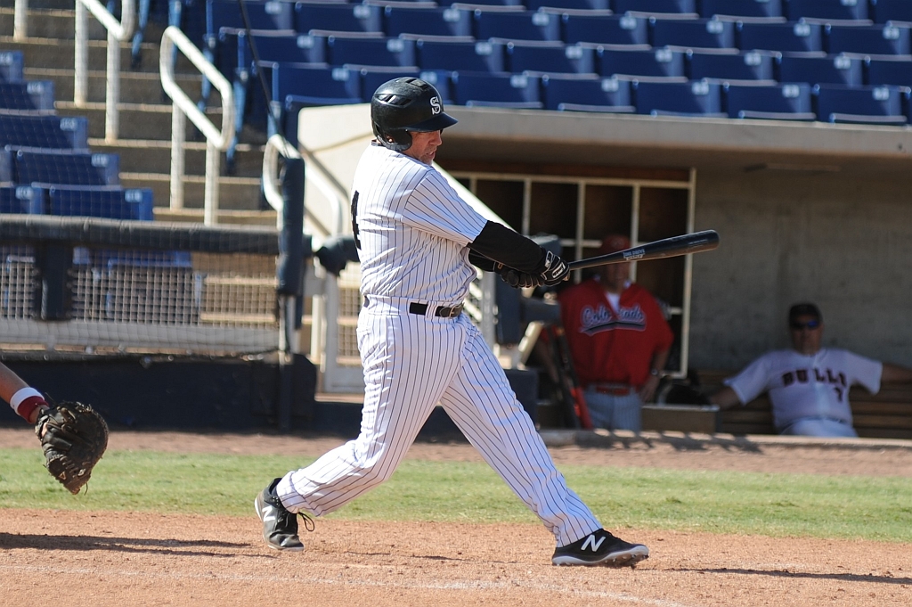 Seals_2017-10-09 (526).jpg - (c)2010 DeVetter